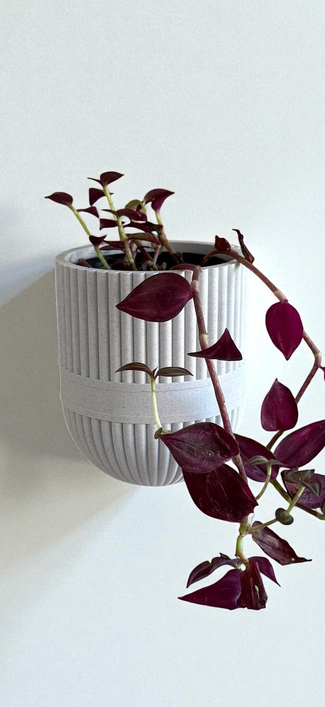 Indoor Wall mounted Planter