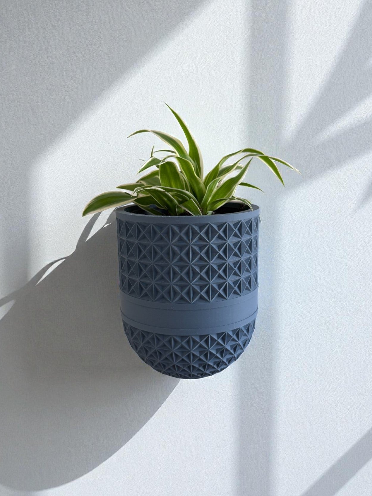 Wall mounted Planters